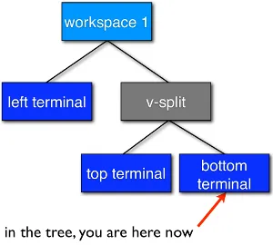 tree-layout1